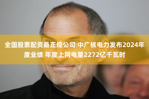全国股票配资最正规公司 中广核电力发布2024年度业绩 年度上网电量2272亿千瓦时