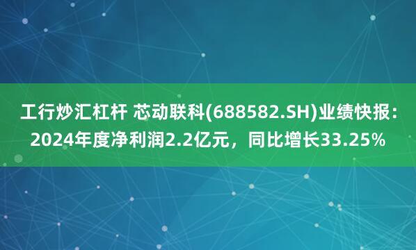 工行炒汇杠杆 芯动联科(688582.SH)业绩快报：2024年度净利润2.2亿元，同比增长33.25%