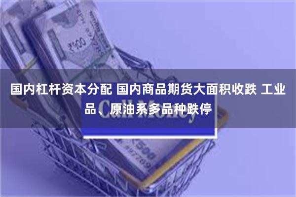 国内杠杆资本分配 国内商品期货大面积收跌 工业品、原油系多品种跌停