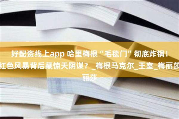 好配资线上app 哈里梅根“毛毯门”彻底炸锅！红色风暴背后藏惊天阴谋？_梅根马克尔_王室_梅丽莎