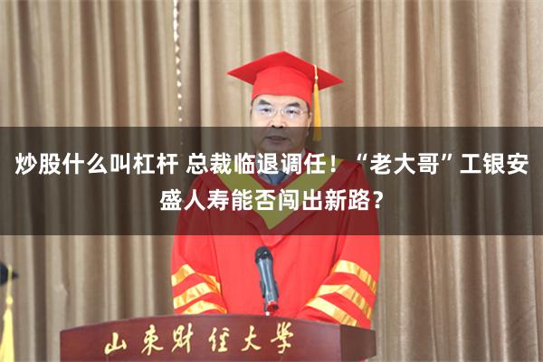 炒股什么叫杠杆 总裁临退调任！“老大哥”工银安盛人寿能否闯出新路？