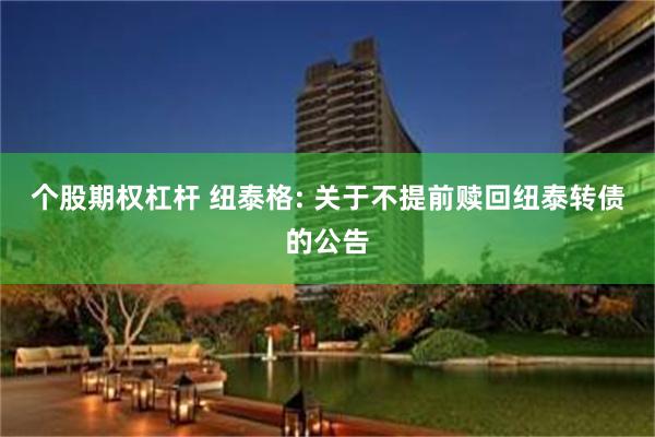 个股期权杠杆 纽泰格: 关于不提前赎回纽泰转债的公告