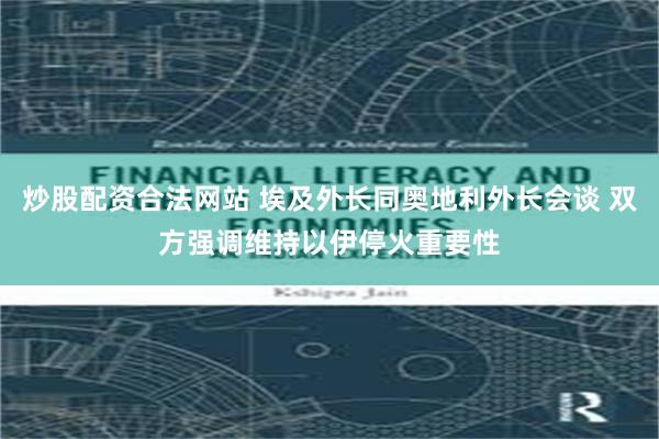 炒股配资合法网站 埃及外长同奥地利外长会谈 双方强调维持以伊停火重要性