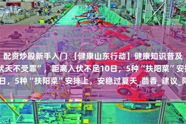 配资炒股新手入门 【健康山东行动】健康知识普及行动｜“头伏补到位，伏天不受罪”，距离入伏不足10日，5种“扶阳菜”安排上，安稳过夏天_茴香_建议_阳气