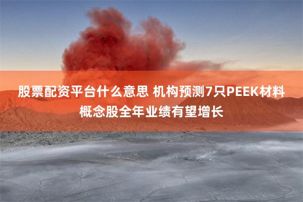股票配资平台什么意思 机构预测7只PEEK材料概念股全年业绩有望增长