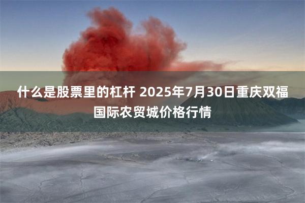 什么是股票里的杠杆 2025年7月30日重庆双福国际农贸城价格行情