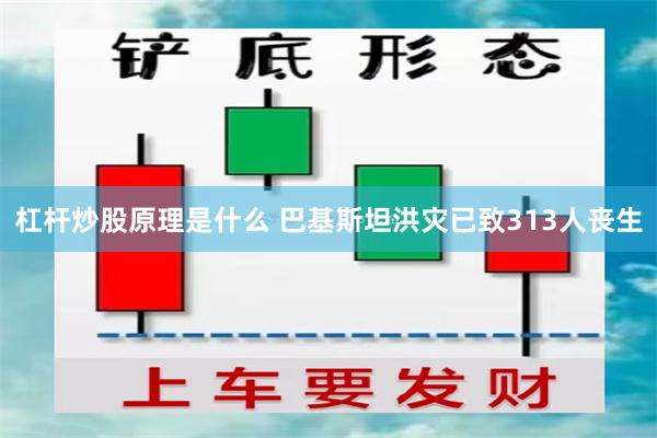 杠杆炒股原理是什么 巴基斯坦洪灾已致313人丧生